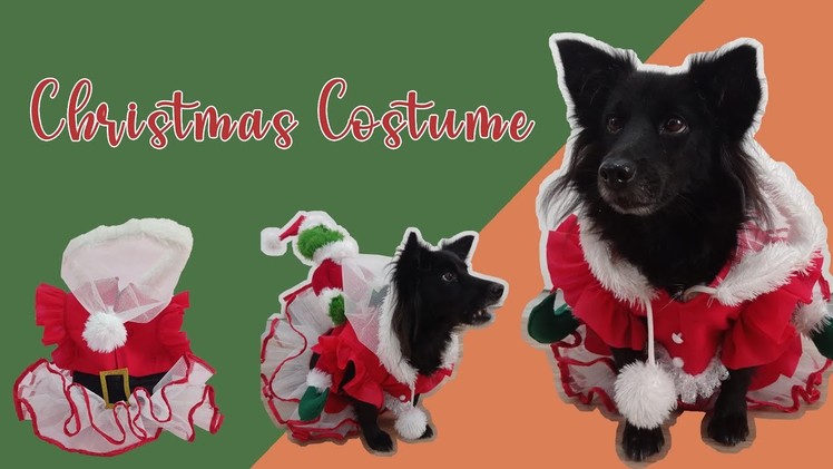 Christmas Dress Costume Ideas | DIY