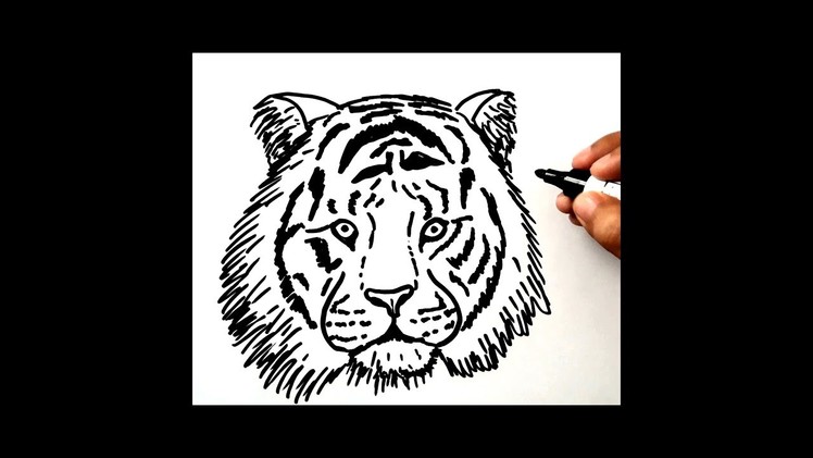 #Shorts  | Cómo dibujar un tigre | How to draw a tiger |HD