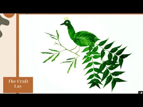 BEST CRAFT IN THE WORLD Diy leaf PEACOCK ???? | Different leaves Different creations| Creative | NATION