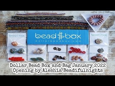Dollar Bead Box and Bag January 2022 Opening