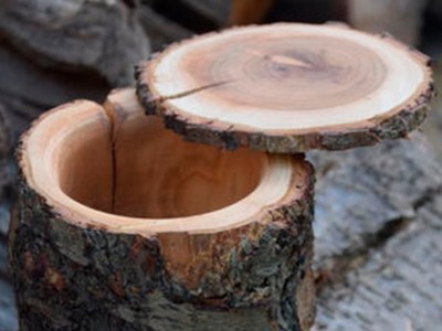 Amazing DIY from an ordinary log!