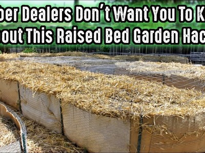 Lumber Dealers Don't Want You To Know About This Raised Bed Garden Hack!