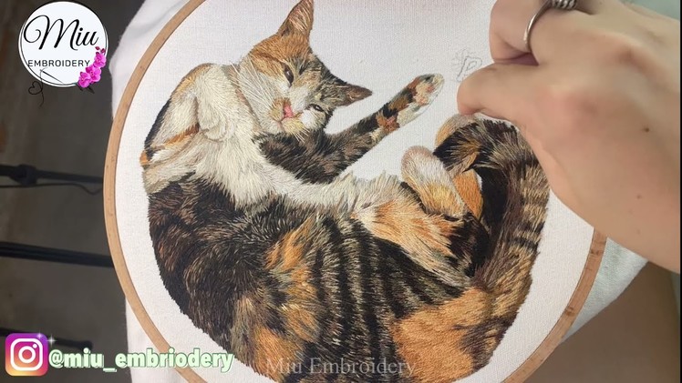 Sleepy Cat - Needle Painting Hand Embroidery