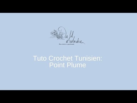 Tuto Crochet Tunisien: Point Plume