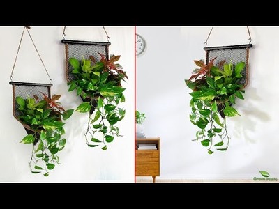 Beautiful Wall Hanging Planter Ideas You Have to Try | Hanging plants Decoration Ideas.GREEN PLANTS