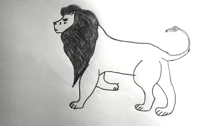 How to draw a Lion easy steps by step || lion drawing