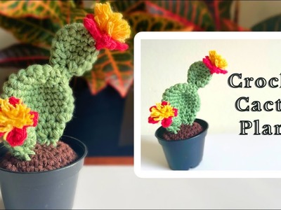 Crochet Cactus | Bunny Ear Cactus Tutorial