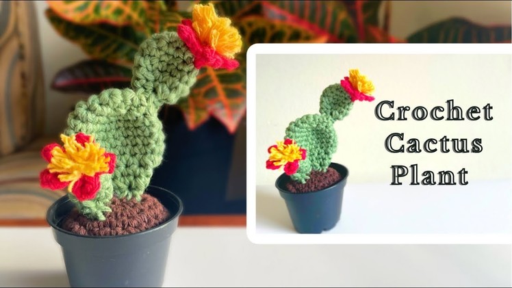 Crochet Cactus | Bunny Ear Cactus Tutorial