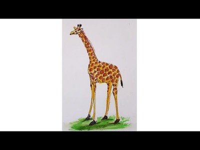 How to draw a giraffe. giraffe drawing & colouring with oilpastel very easy  #shorts