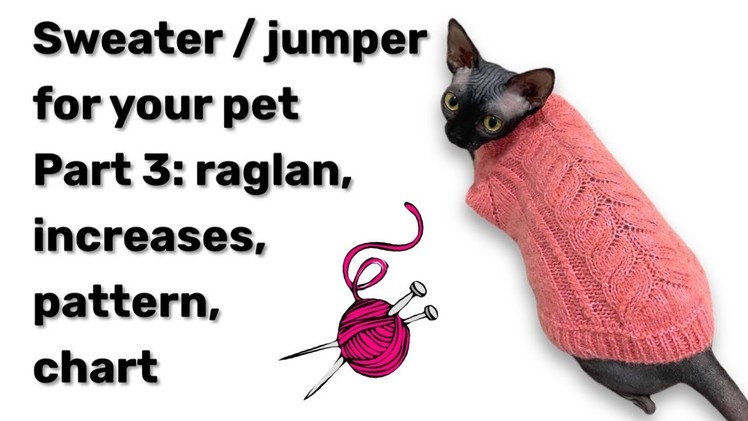 How to knit jumper. sweater for pet - part 3 | Beginners tutorial | raglan | increases | pattern