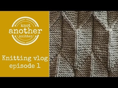 Knitting vlog#1| Origami Shawl from Margie Kieper