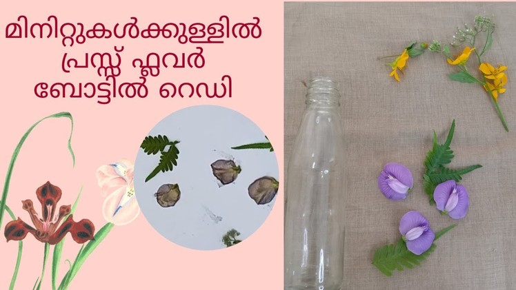 Pressed flower bottle art | Simple bottle art | No paint bottle art | Learn how to press flowers