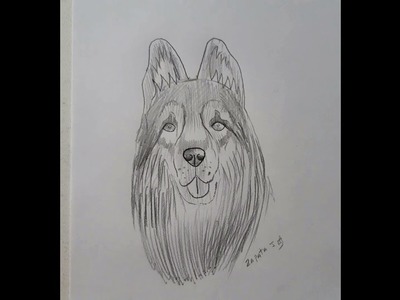 #Shorts | Cómo dibujar un Perro  | How to draw a Dog
