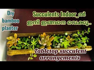 Simple way to make succulent arrangements for beginners||diy succulent centerpiece||bamboo planter