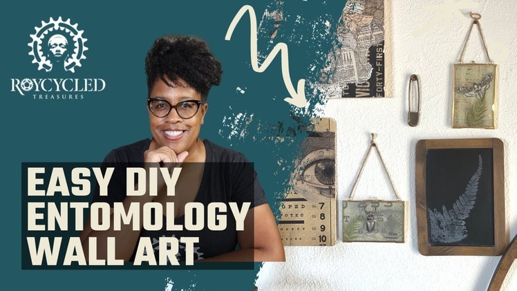 DIY Entomology Wall Art