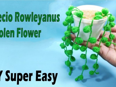 Amazing Idea Making String of Pearls. Senecio Rowleyanus Succulent Woolen Flower