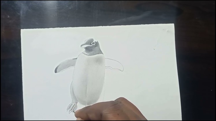 3D Art of Penguin || 3D Penguin