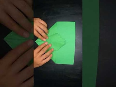 Folds and Flies World Record Paper Airplanes
