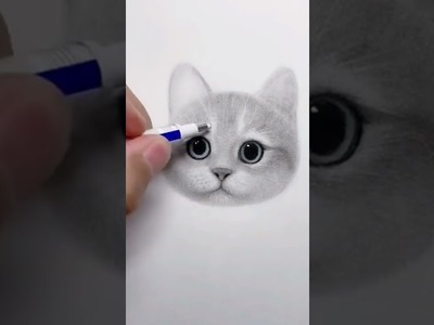 How to draw a cat #shorts #cat