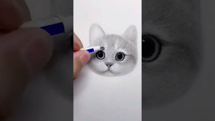 How to draw a cat #shorts #cat