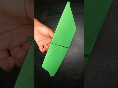 New BIRD FLY paper airplane