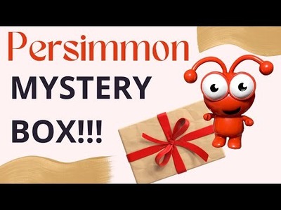 Cricut Persimmon Permission Mystery Box + Cricut Cutie! Feb 2022