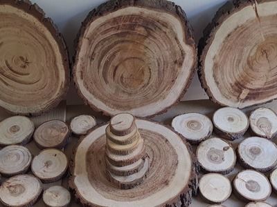 Theperfectbazaar natural wooden slices with bark for DIY crafts and decoration