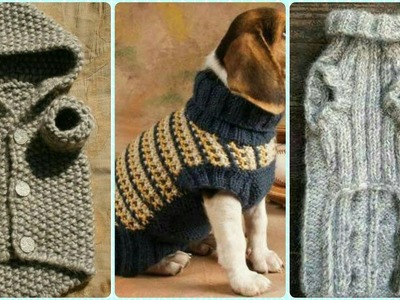 Crochet Family Dog Sweater Designs||Most Demanding Collection
