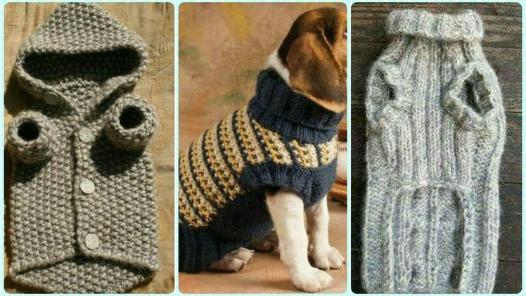 Crochet Family Dog Sweater Designs||Most Demanding Collection