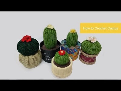 How to Crochet Cactus Part 1 l Tutorial Amigurumi Cactus