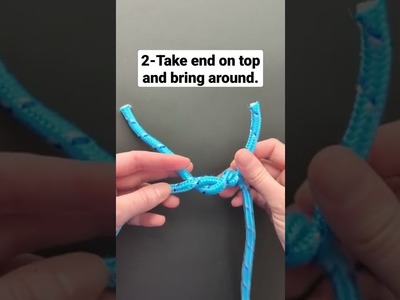 How to Tie a Reef Knot #shorts