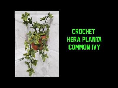How to crochet Common Ivy plant