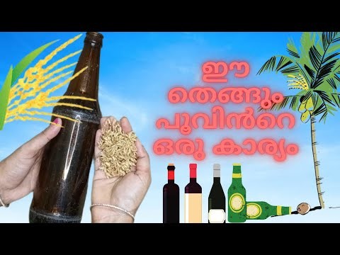 Women's day craft, Bottle art with Coconut flower, Best out of Waste, Coconut flower craft, DIY
