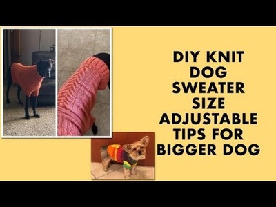 DIY KNIT RAINBOW DOG SWEATER