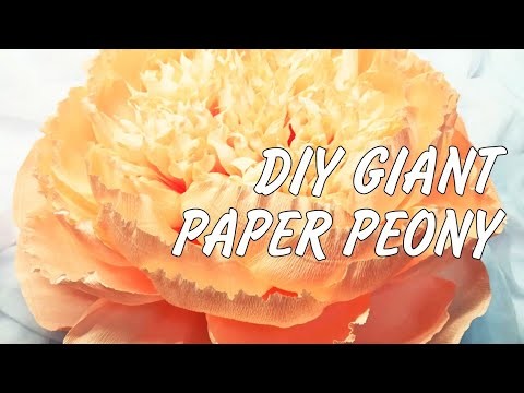 Giant crepe paper flowers tutorial | Giant paper peony diy