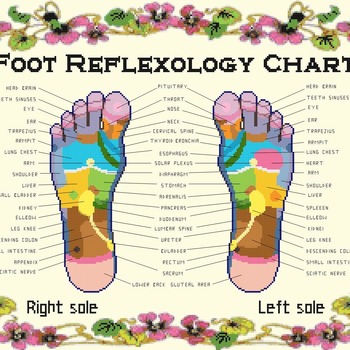 counted cross stitch pattern foot reflexology chart 303*219 stitches CH2105