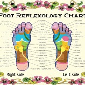 counted cross stitch pattern foot reflexology chart 303*219 stitches CH2105