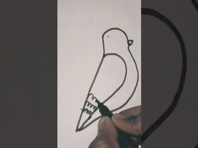 How to draw a pigeon simple and easy.  bird drawing. #like . #subscribe