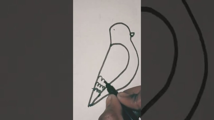 How to draw a pigeon simple and easy.  bird drawing. #like . #subscribe