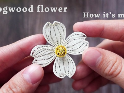 Dogwood flower made from paper strips | DIY Quilling Crafts
