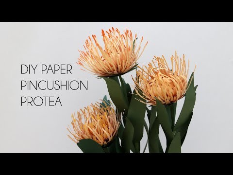 DIY Paper Pincushion Protea (Cricut, Silhouette, paper flowers)