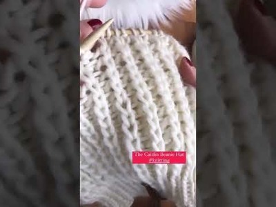 The Caitlin Beanie Hat #knitting #knit#handknitting #shorts #oddlysatisfying