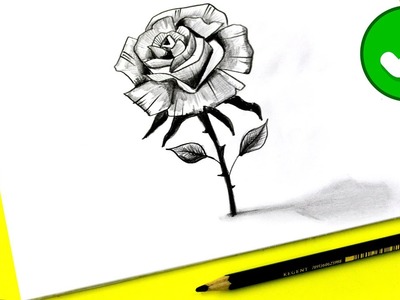???? Dibujos 3D - Como Dibujar una ROSA Abierta a lapiz - Dibujar una Rosa pequeña 3D - Easy Art