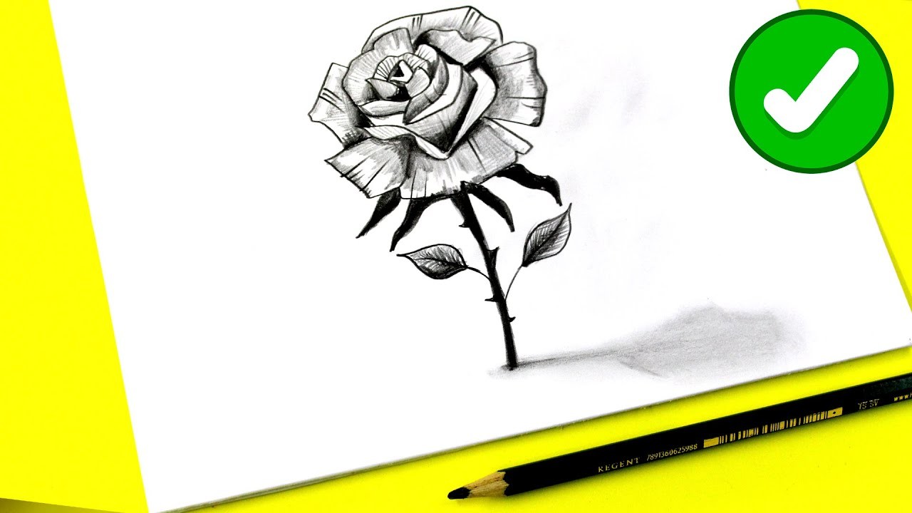 Como dibujar una rosa de los vientos