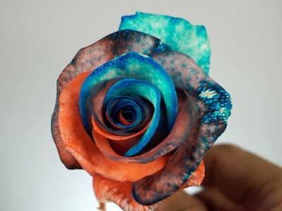 HOW TO MAKE GALAXY ROSES?