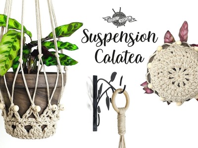 SUSPENSION plante "Calathea" au crochet style macramé déco