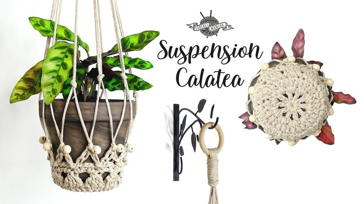 SUSPENSION plante "Calathea" au crochet style macramé déco
