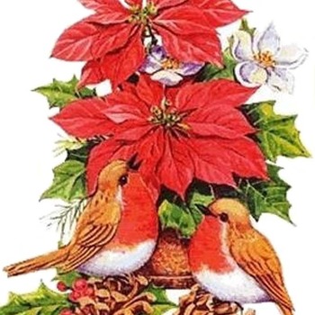 Poinsettas & Robins Cross Stitch Pattern***L@@K***Buyers Can Download Your Pattern As Soon As They Complete The Purchase