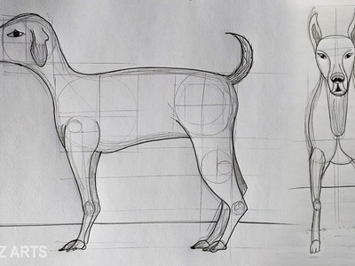 DOG ANATOMY DRAWING | Animal Figure Drawing Tutorials [Tabrez Arts]
