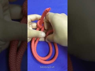 Useful Knot DIY at Home, Rope Trick You Should Know Tutorial #Shorts EP31